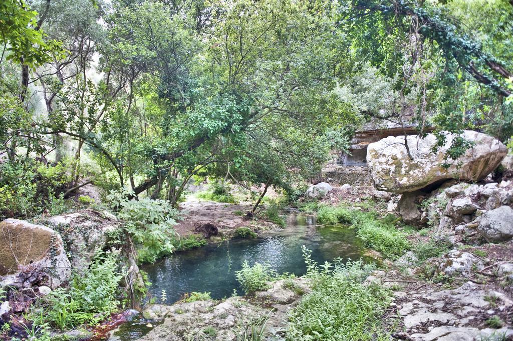 Villa Vela Borgo Alveria מראה חיצוני תמונה